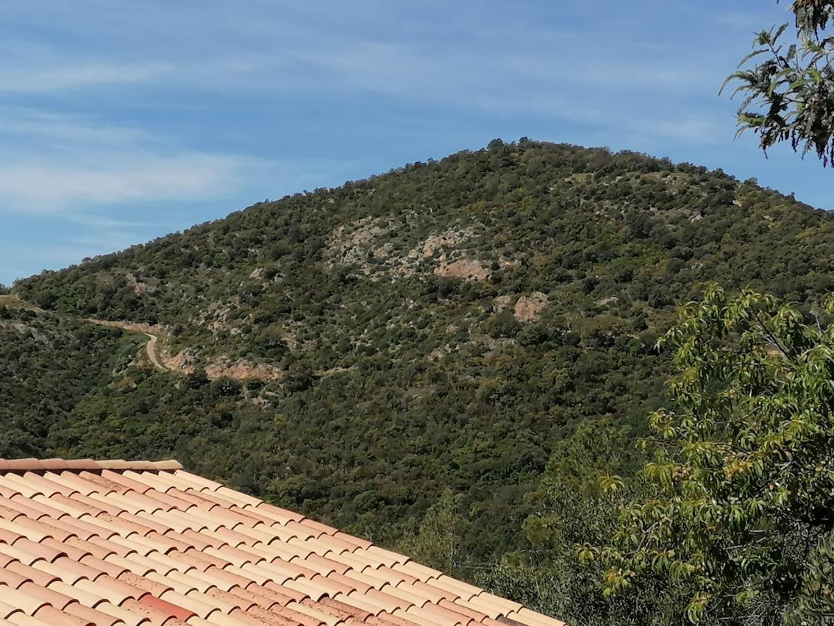 Tres Bel Appartement T3 Avec Splendide Vue Mer Les Issambres Buitenkant foto